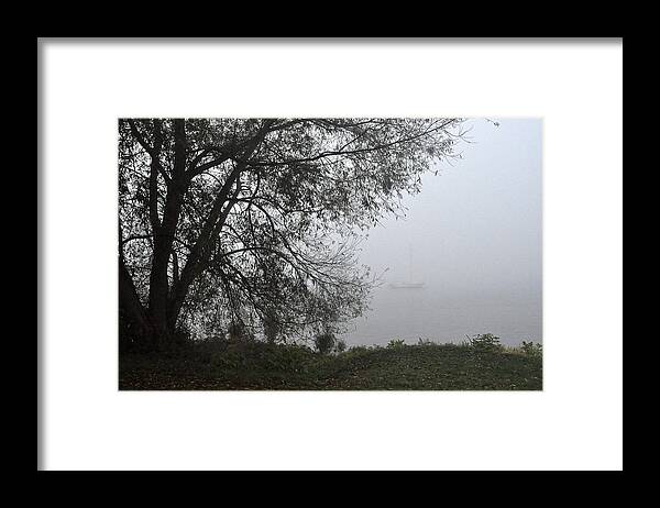 Fog Framed Print featuring the photograph Tree And Moored Boat by Tim Nyberg
