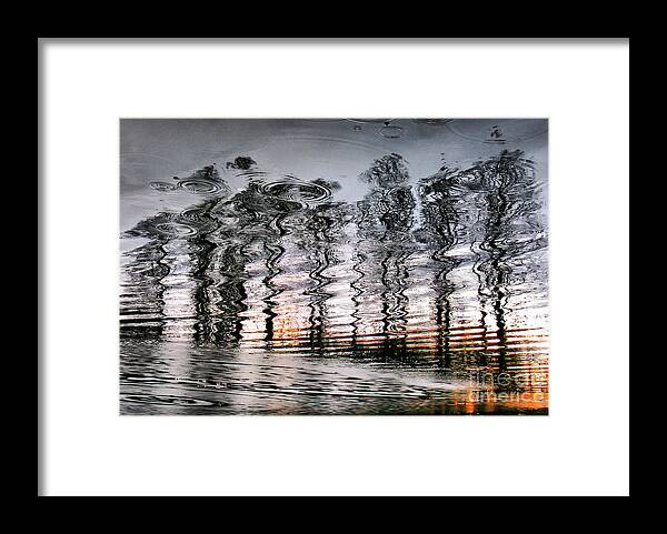 Tree Framed Print featuring the photograph Tree and reflection by Daliana Pacuraru