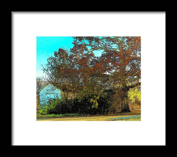 Tree Framed Print featuring the photograph Tree at the Station by Joyce Kimble Smith