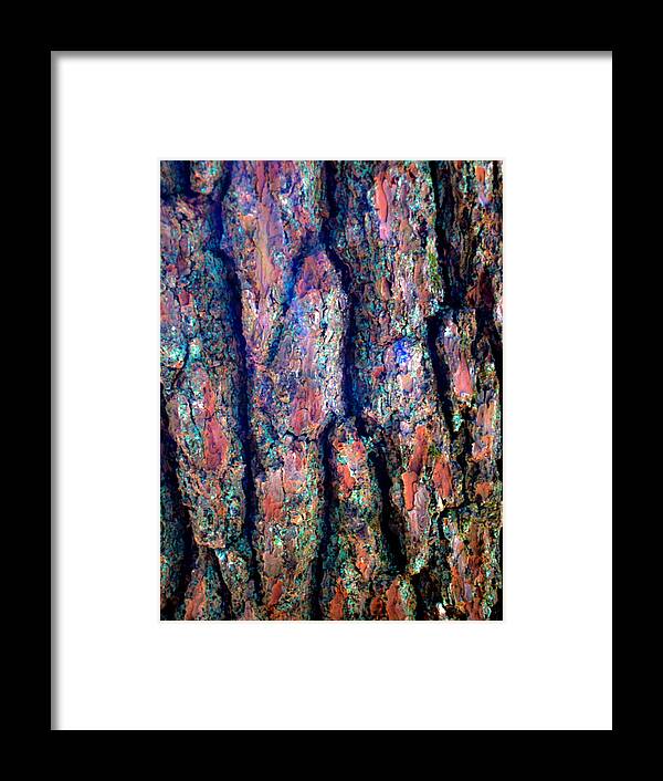 Abstract Framed Print featuring the photograph Tree Bark Abstract by Garry Loss