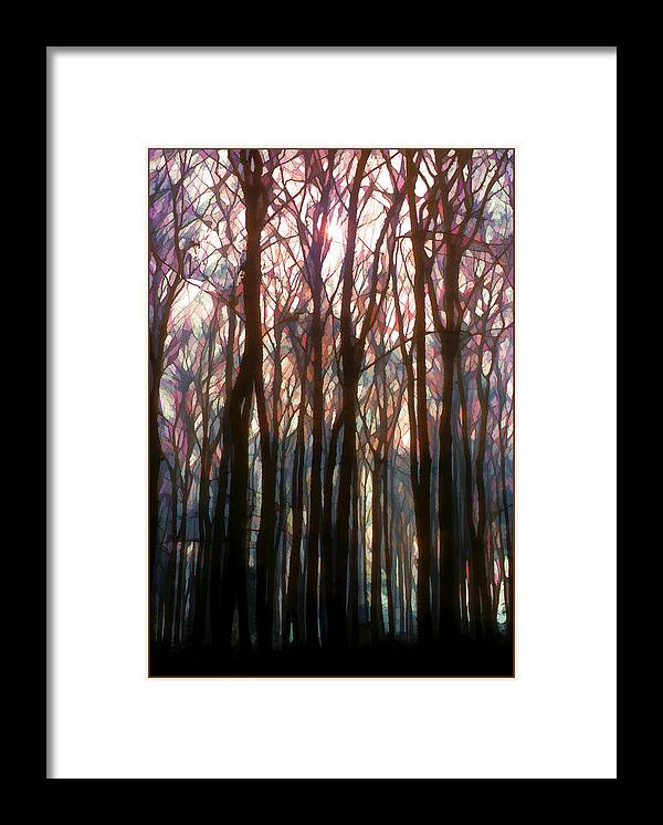 Trees Framed Print featuring the digital art Tree Branch Cathedral by Antique Images 