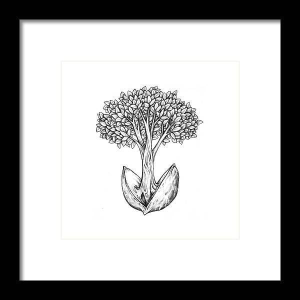 Tree Framed Print featuring the drawing Tree from Seed by Aaron Spong