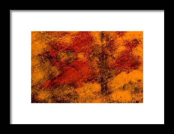 Tree Framed Print featuring the photograph Tree in Autumn by Jim Vance