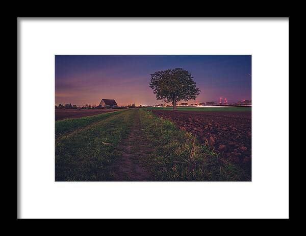 Worms Framed Print featuring the photograph Tree in the Moonlight by Marc Braner