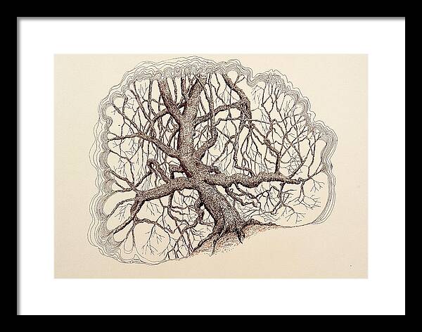 Tree Framed Print featuring the drawing Tree in Winter II by Kerry Beverly