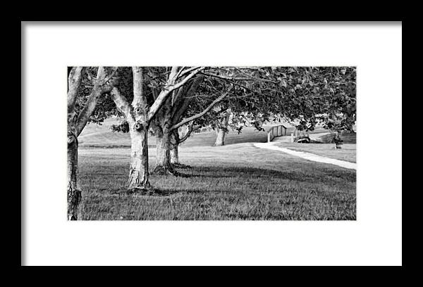 Greg Jackson Framed Print featuring the photograph Tree-lined Path to Footbridge - b/w by Greg Jackson