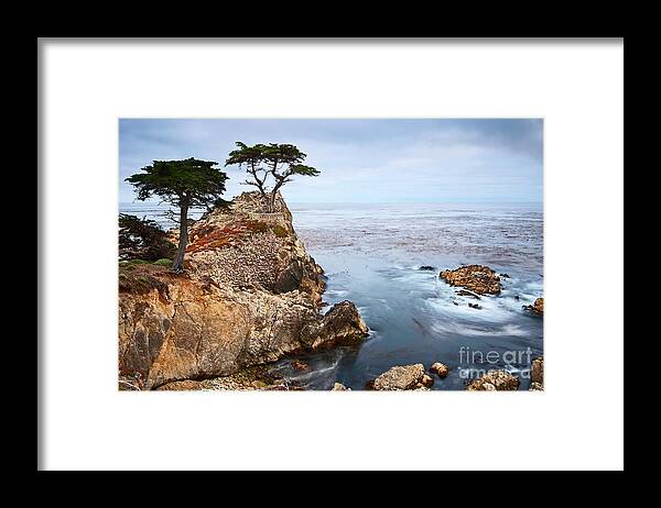 Lone Cypress Framed Print featuring the photograph Tree of Dreams - Lone Cypress tree at Pebble Beach in Monterey California by Jamie Pham