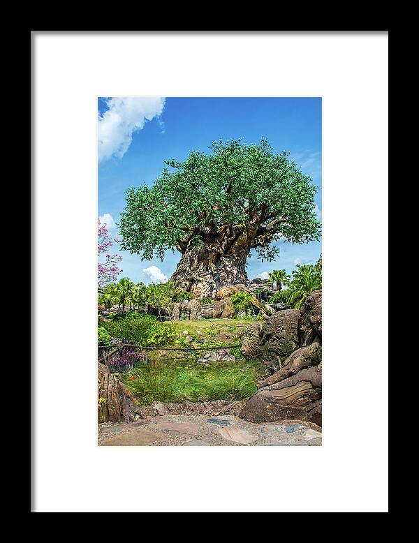 Tree Of Life Framed Print featuring the photograph Tree of Life by Pamela Williams