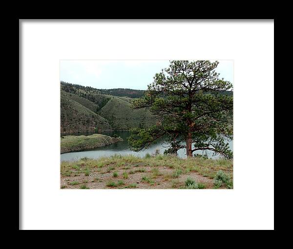 Tree Framed Print featuring the photograph Tree on Missouri River Bluff by Kae Cheatham