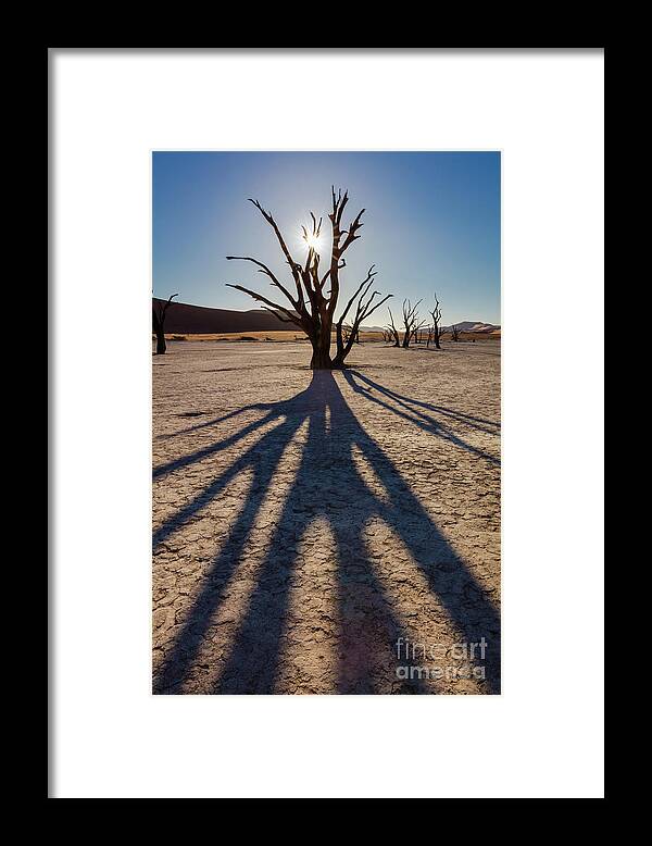 Africa Framed Print featuring the photograph Tree Shadow by Inge Johnsson
