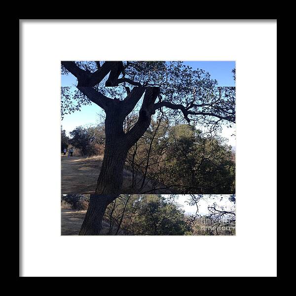 Tree Framed Print featuring the photograph Tree Silhouette Collage by Nora Boghossian