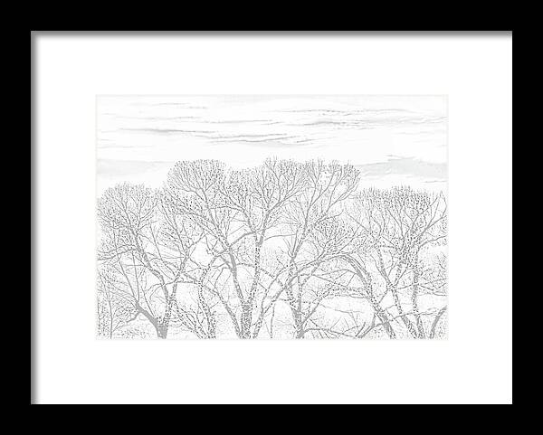 Tree Framed Print featuring the photograph Tree Silhouette Gray by Jennie Marie Schell