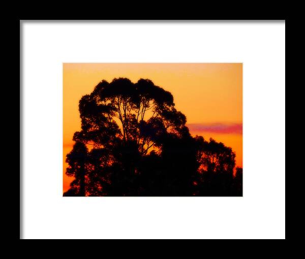 Sunset Framed Print featuring the photograph Tree Sunset by Mark Blauhoefer