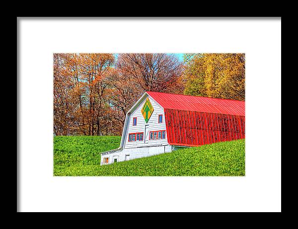 Barn Quilts Framed Print featuring the photograph Tree Variation by Dale R Carlson