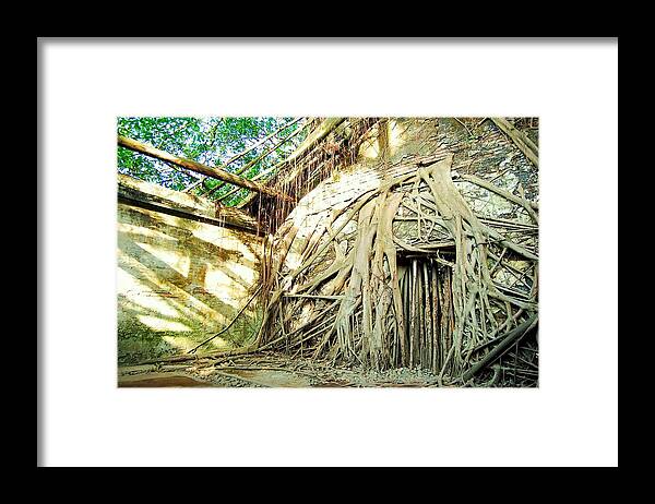 Tree Framed Print featuring the photograph Treehouse by HweeYen Ong