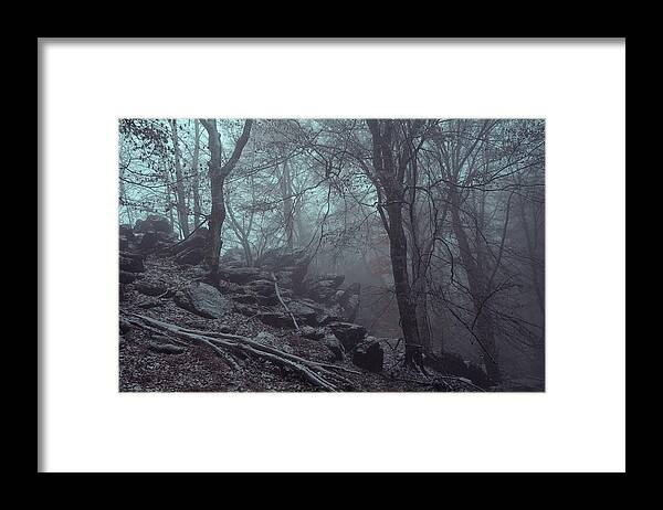 Jenny Rainbow Fine Art Photography Framed Print featuring the photograph Trees and Rocks in Misty Woods by Jenny Rainbow