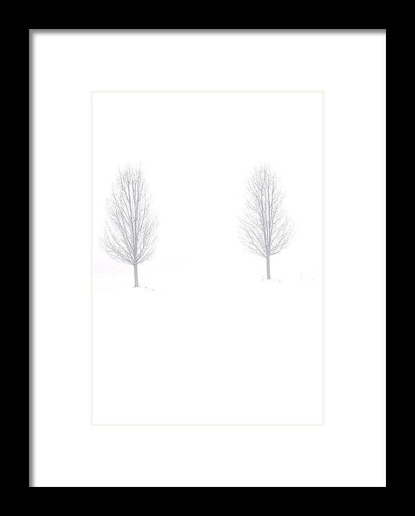 Snow Framed Print featuring the photograph Trees and Snow by Daniel Thompson