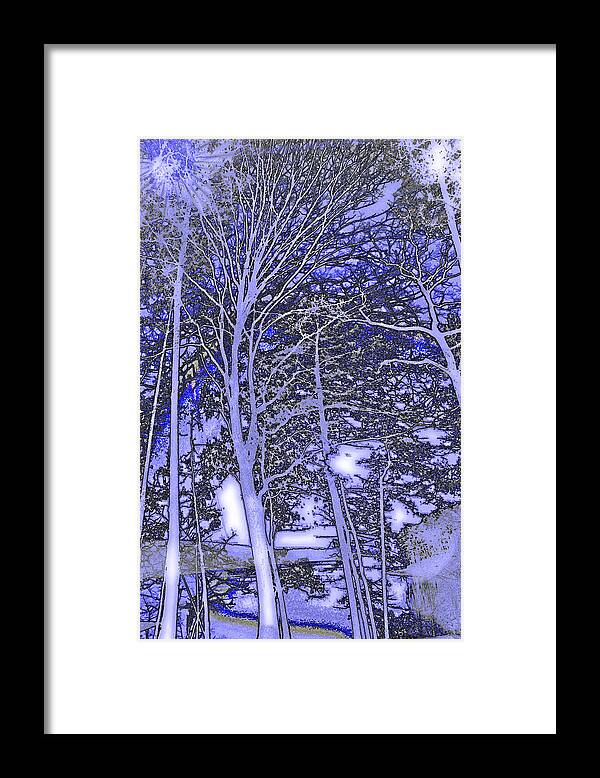 Nature Framed Print featuring the photograph Trees Dancing by Kicking Bear Productions