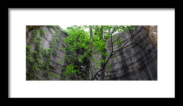 Trees Framed Print featuring the photograph Trees Growing in Silo - Panorama Edition by Tony Grider