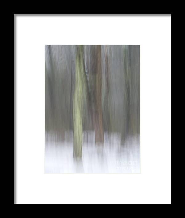 Abstract Framed Print featuring the photograph Trees in Fog II by Lili Feinstein