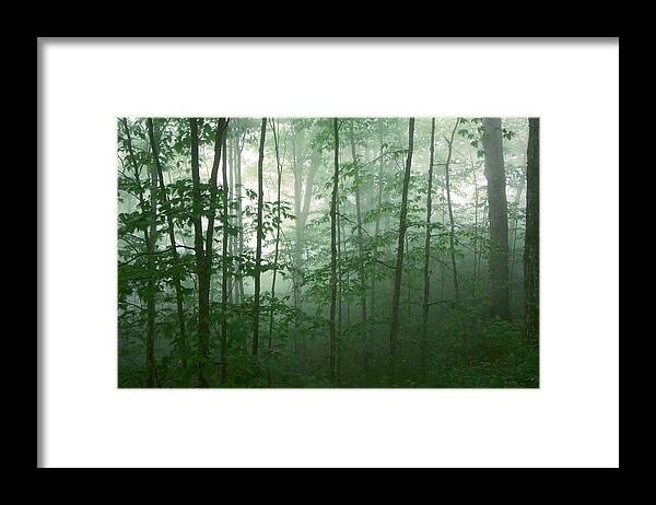 Asheville Framed Print featuring the photograph Trees in the Mist by Joye Ardyn Durham