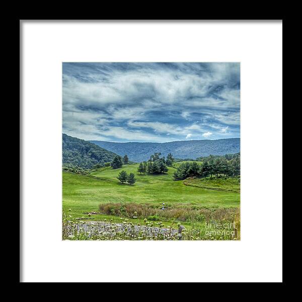 Trees Framed Print featuring the photograph Trees in the Valley by Kerri Farley