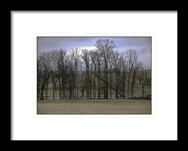  Framed Print featuring the photograph Trees in Winter by R Thomas Berner