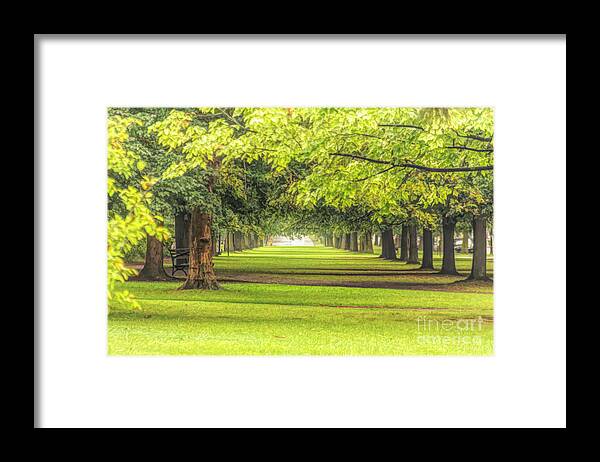 Trees Framed Print featuring the photograph Trees by Jim Lepard