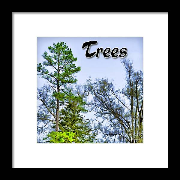  Framed Print featuring the photograph Trees LOGO by Debbie Portwood