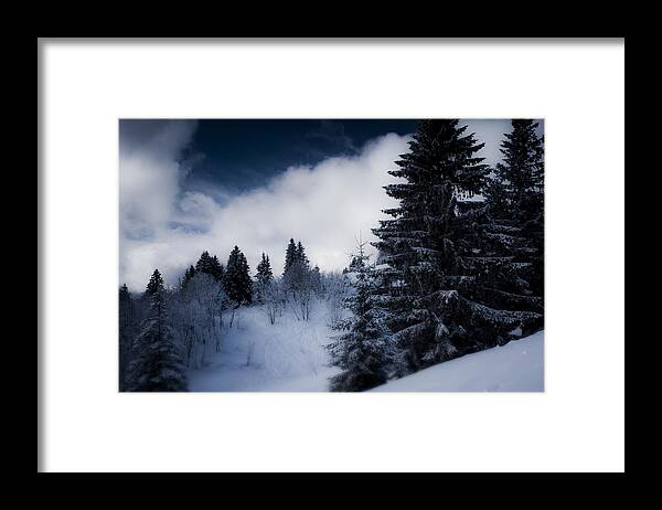 Miguel Framed Print featuring the photograph Trees Mountains and More Trees by Miguel Winterpacht