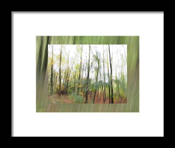 Leaf Framed Print featuring the photograph Trees On The Move by Don Zawadiwsky