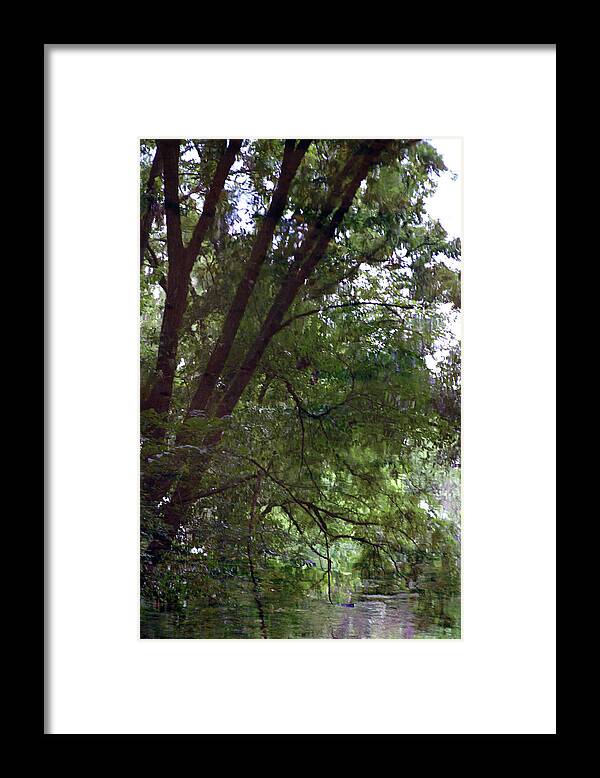 Trees Framed Print featuring the photograph Trees Reflected in a Woodland Stream 2867 H_2 by Steven Ward