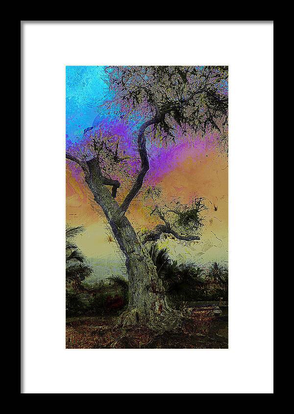 Tree Framed Print featuring the photograph Trembling Tree by Lori Seaman
