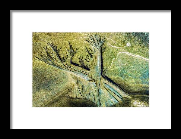 Nature Framed Print featuring the photograph Tributaries In The Sand by Dee Browning