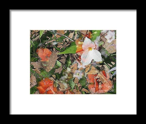 Photography Framed Print featuring the photograph Trillium and More by Kathie Chicoine