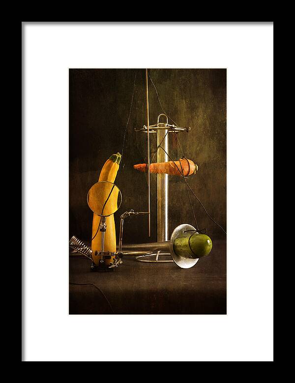 Still Life Framed Print featuring the photograph Trio by Valentin Ivantsov