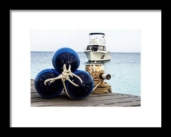Bonaire Framed Print featuring the photograph Triple Bumpers by Jean Noren