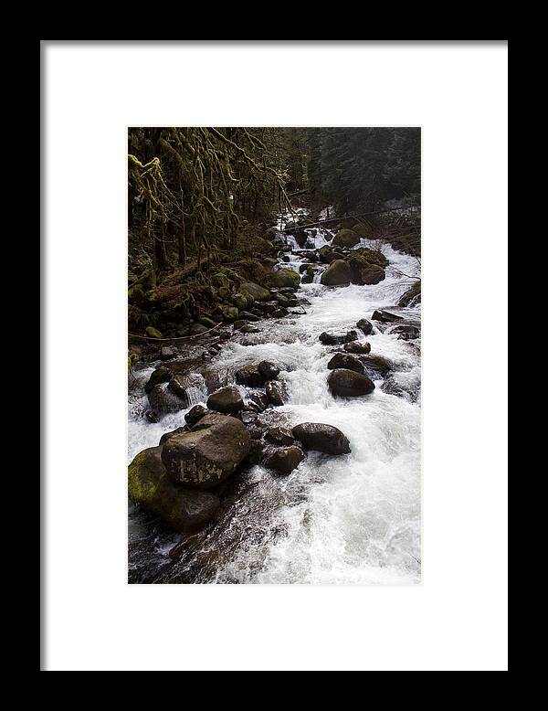 Triples Feed Framed Print featuring the photograph Triple's Feed by Dylan Punke
