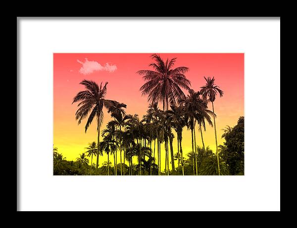  Framed Print featuring the photograph Tropical 9 by Mark Ashkenazi