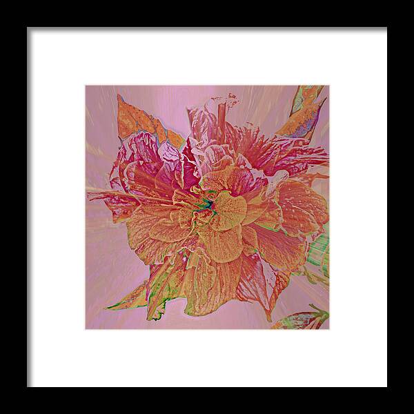 Tropical Framed Print featuring the photograph Tropical Beauty by Rose Hill