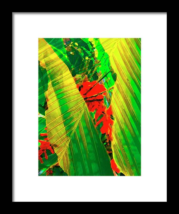 Tropical Framed Print featuring the photograph Tropical Fusion by Stephen Anderson