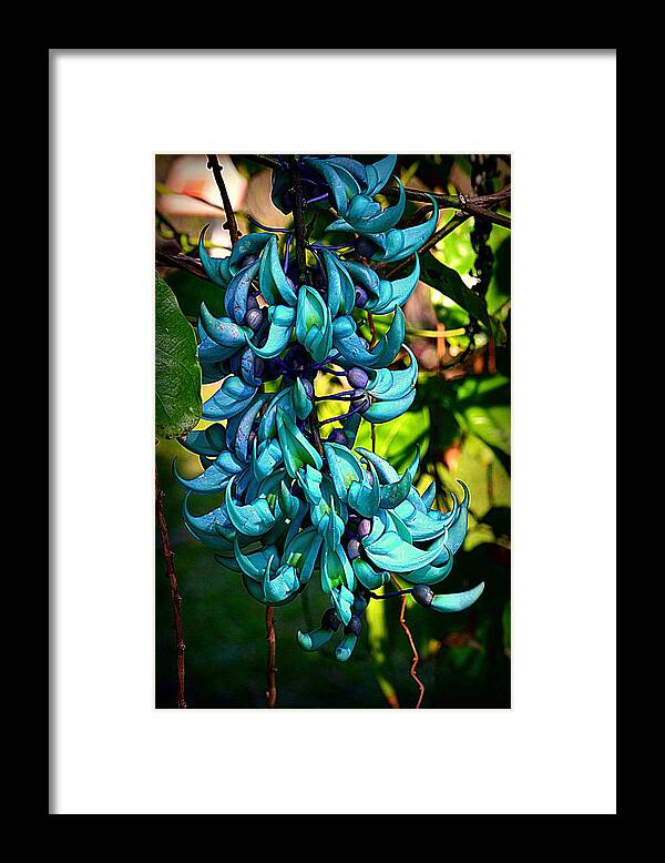 Jade Framed Print featuring the photograph Tropical Jade by Lori Seaman