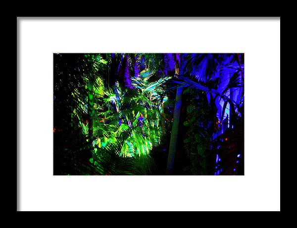 Light Show Framed Print featuring the photograph Into the Psychedelic Jungle by Richard Ortolano