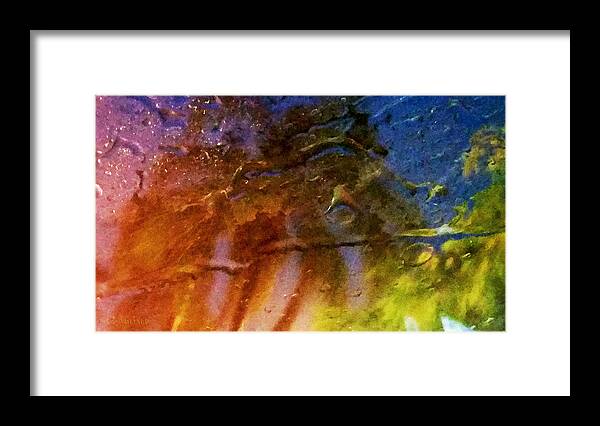 Rain Framed Print featuring the photograph Tropical Low #4 by Susan Vineyard