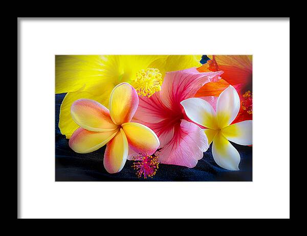 Flower Of The Day Framed Print featuring the photograph Tropical Melange by Jade Moon 