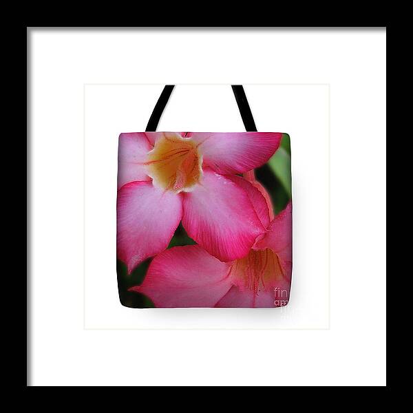 Tropical Framed Print featuring the photograph Tropical Pinks by Mini Arora