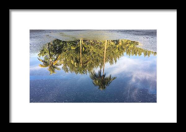 Florida Framed Print featuring the photograph Tropical Reflections Delray Beach Florida by Lawrence S Richardson Jr
