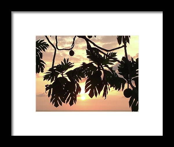 Sunsets Framed Print featuring the photograph Tropical Sunset Silhouette by Karen Nicholson