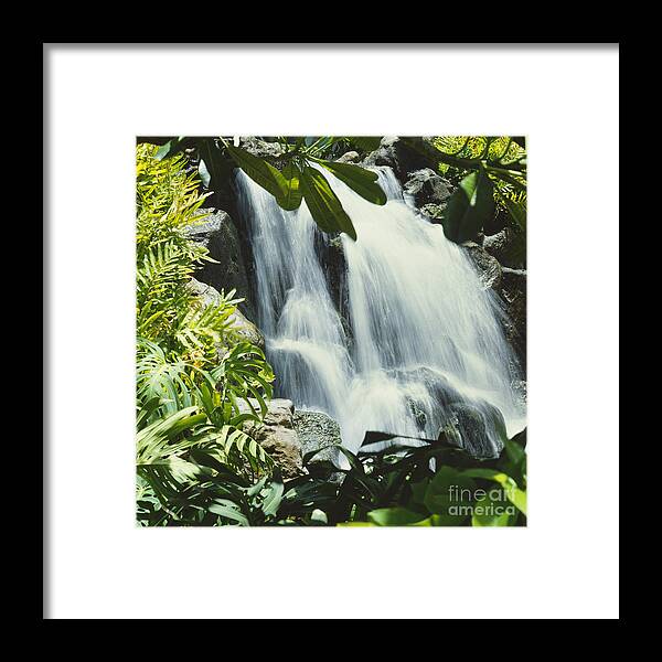 Active Framed Print featuring the photograph Tropical Waterfall by David Cornwell/First Light Pictures, Inc - Printscapes
