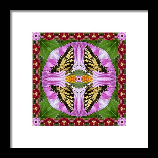 Yoga Art Framed Print featuring the photograph Tropicana by Bell And Todd